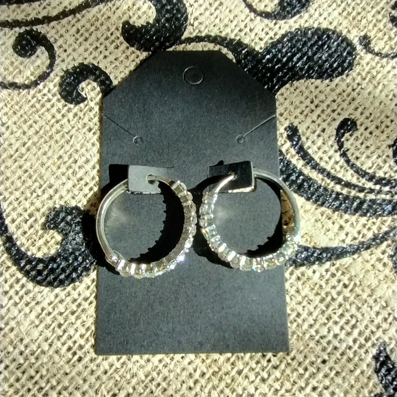 Rhinestone Hoop Earrings - Picture 10 of 13